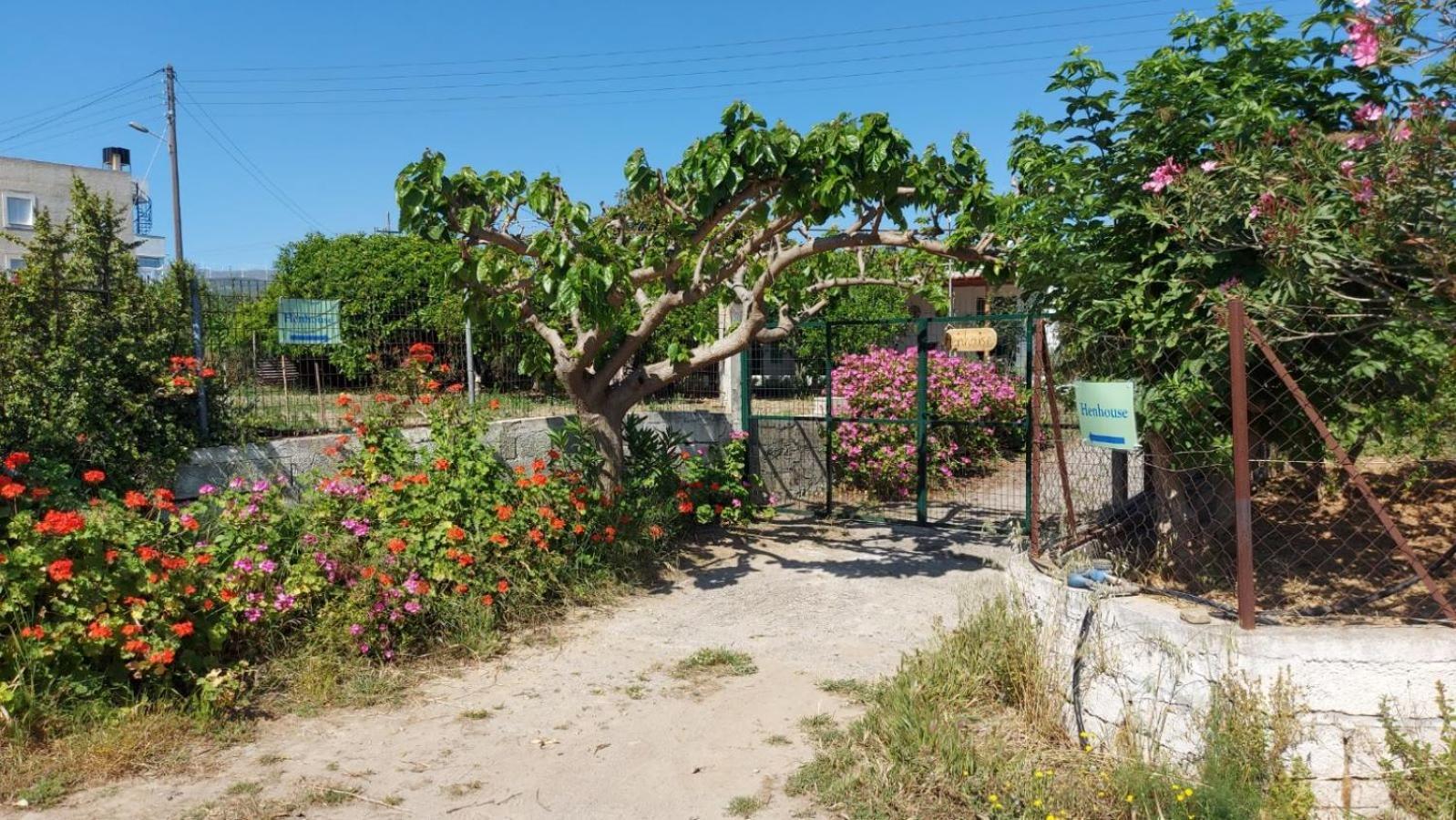 Agritourism Cottage Near Sitia Экстерьер фото